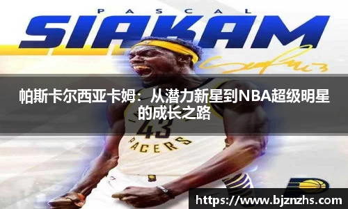 星空.综合体育(中国)官方网站